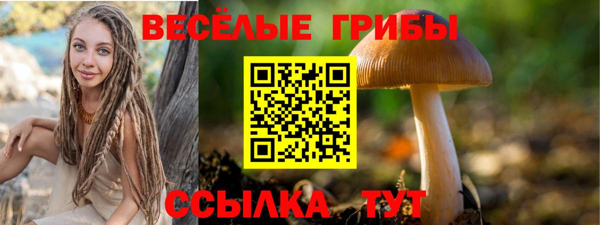 Галлюциногенные грибы MAGIC MUSHROOMS  закладки  Орехово-Зуево  Галлюциногенные грибы ЛСД  Вход с VPN 